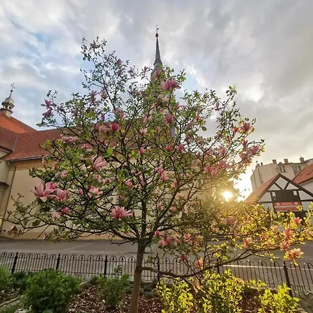 아파트 Apartament Sloneczny Na Placu Wejhera *